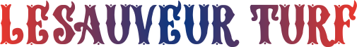 lesauveurturf