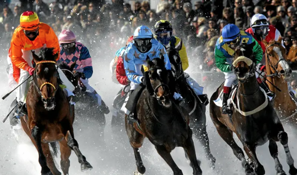 le sauveur turf || sauveur turf